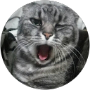 GAKU profile picture