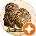 ふぁしる profile picture
