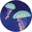 たいせー profile picture